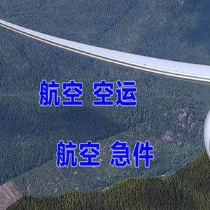 龙湾机场托运快递-选东方航空和上海航空