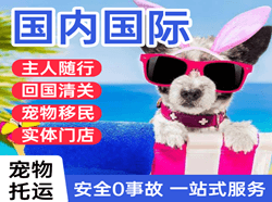 龙湾机场托运国际宠物托运 【国